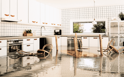 The Importance of Sump Pumps in Dallas Homes