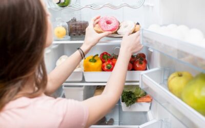 Keep Your Cool: Signs Your Refrigerator Water Line Needs Repair or Replacement