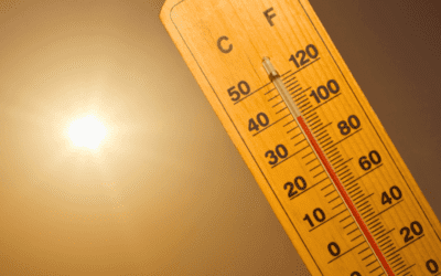 Beat the Heat: Late Summer Plumbing Maintenance Tips for Dallas Homeowners